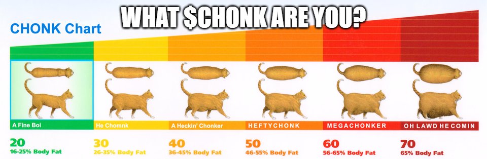 we are the oh lawd he coming..

$BNB $CHONK