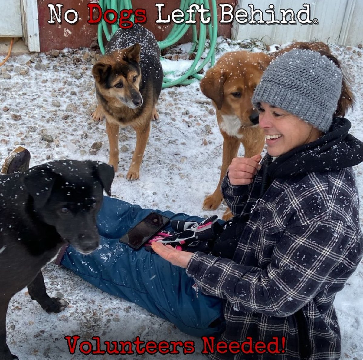 YOU can make a difference! Make your passion for helping dogs a reality by becoming an NDLB volunteer! Our volunteers are an integral part of many facets of our foundation. Remote #volunteer from home and local #volunteersneeded. Apply now at  bit.ly/NDLB_Volunteer…