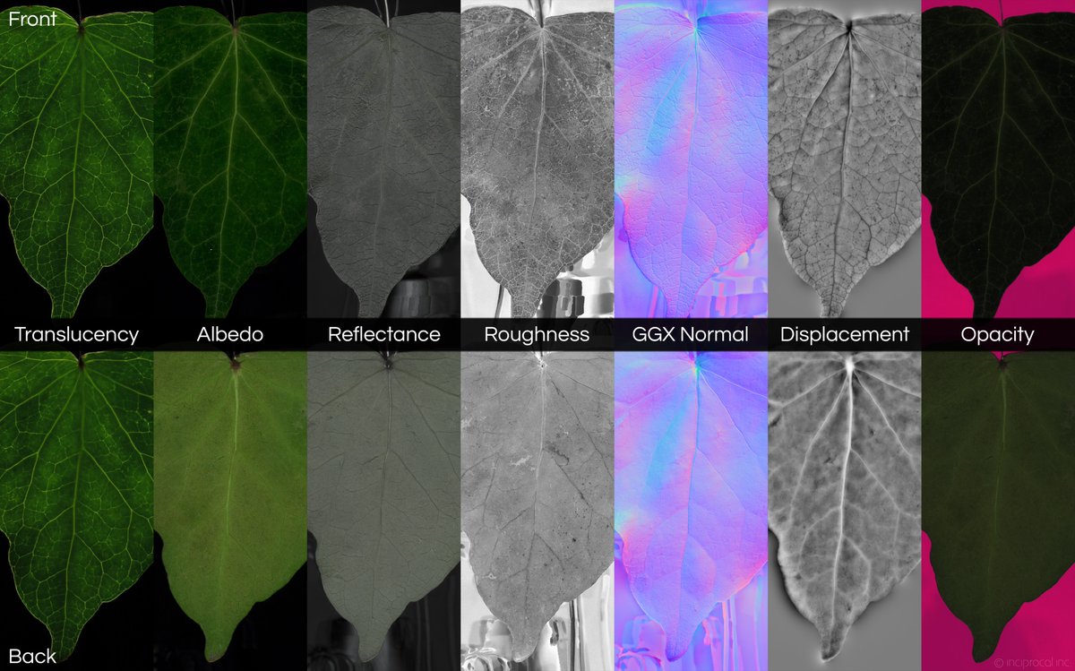 inciprocal tweet media