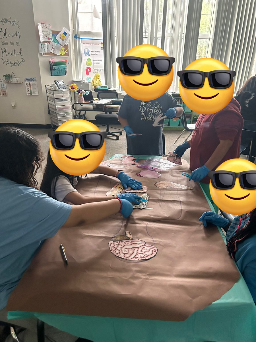 “Student Surgeons” were putting their patient’s organs back to the correct position, while learning about their names and functions. 
<a href="/SciencePasco/">SciencePasco</a> <a href="/RBCESWildcats/">R.B. Cox Elementary</a>