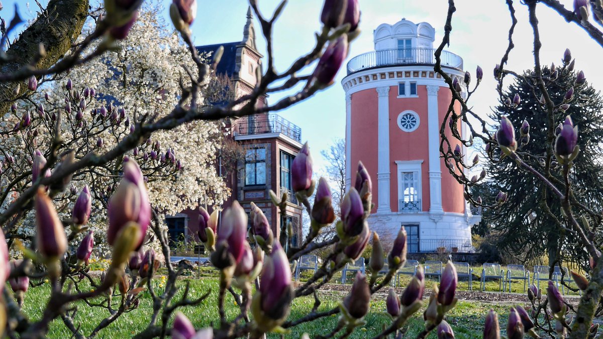 stadt_wuppertal's tweet photo. Tipps fürs Wochenende in #Wuppertal: ☺️
▪️ Sa.: #Wupperputz, Verschiedene Materialausgaben und Wupperufer, ab 9 Uhr oder:
▪️ Premiere "Alcina" der Oper Wuppertal, Opernhaus, 19:30 Uhr
▪️ So.: Frühlingspaziergang, Garteneingang Botanischer Garten Hardt, 11 Uhr https://t.co/Dq2OjsbwHh