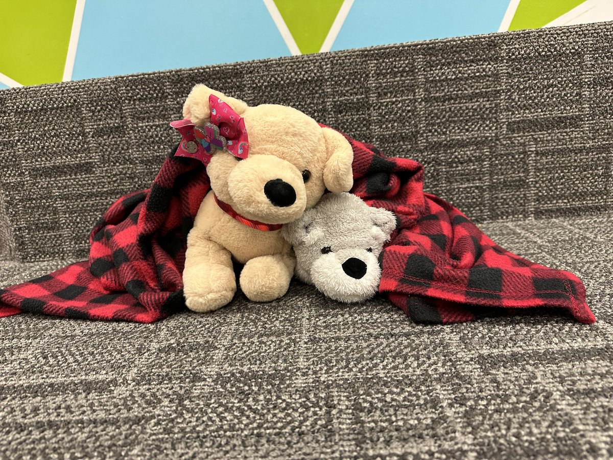 It was a wild night for the stuffed animals, so they slept in! We decided to give them one last treat before they return to their people!