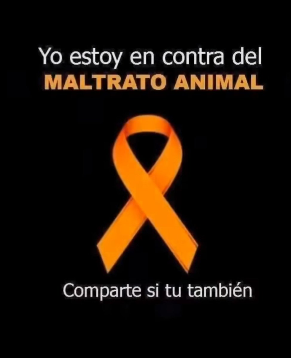 Siiii, Siempre!!!