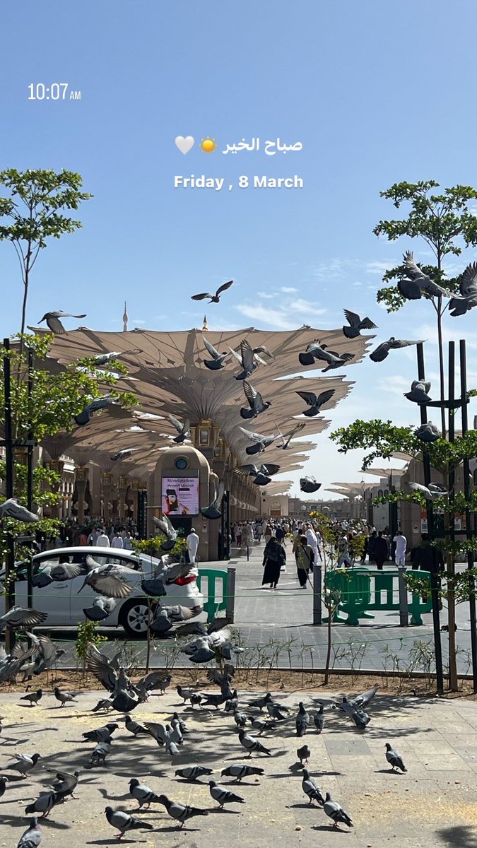 ii_m008's tweet photo. Friday , 8 March 
وفي أخر جمعة من شعبان : 
اللهم اختمها بغفران الذنوب وفرحة القلوب وبشرنا بما يسرنا وبلغنا رمضان لا فاقدين ولا مفقودين يارب العالمين 🕌🤍🤍 https://t.co/6FnsLM3SEL
