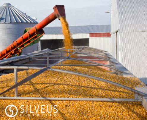 March WASDE Report is released today at Noon ET by the USDA.
Get all the details on the report from a Silveus Financial Advisor today! silveusfinancial.com