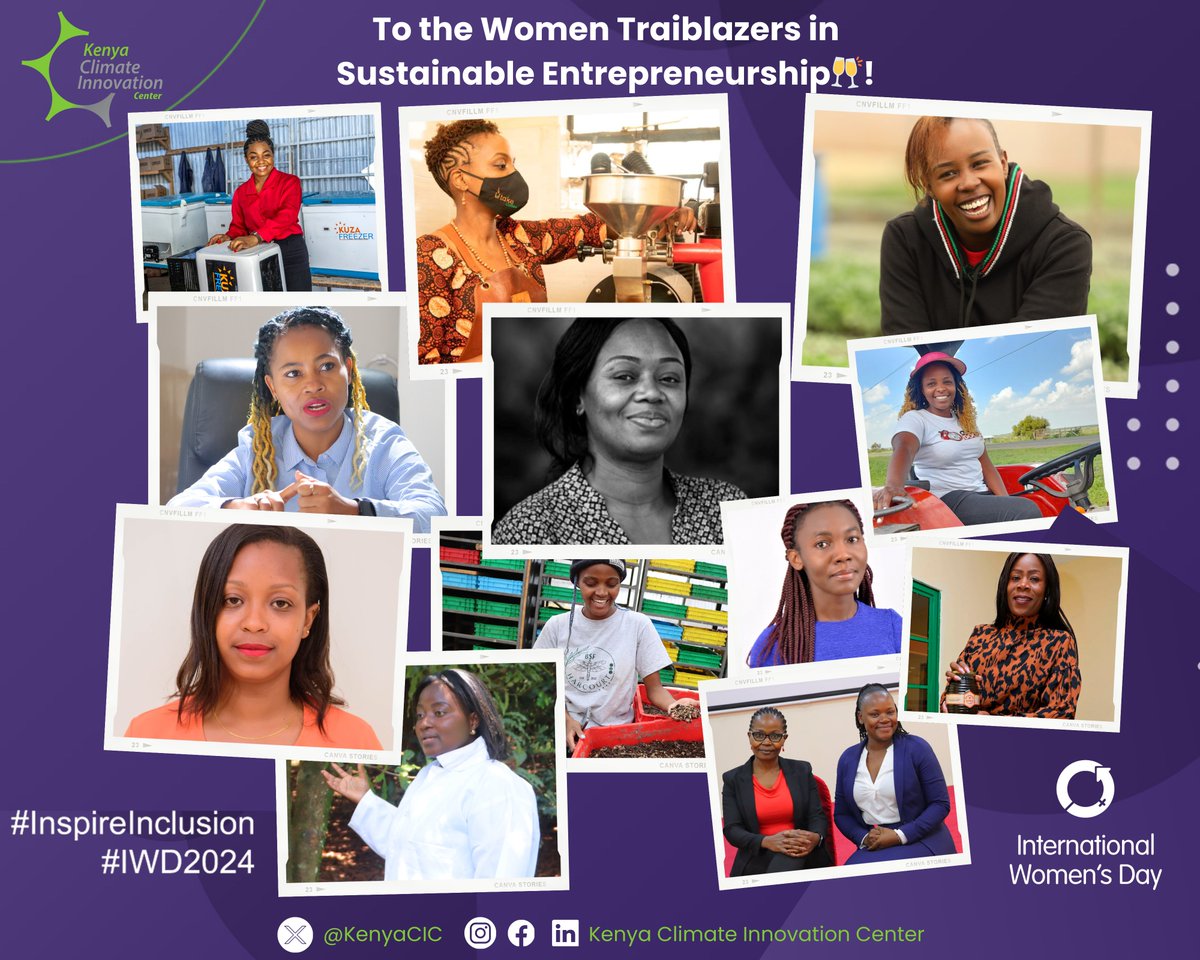 KenyaCIC's tweet photo. In celebration of #IWD2024, we spotlight 12 remarkable female entrepreneurs who exemplify resilience, innovation, & commitment to sustainable practices. Supported by the KCIC AgriBiz, GreenBiz, and PUSE programs, these trailblazers are not only driving economic advancement but also paving the way for a more sustainable and equitable future. Their stories are a testament to the transformative power of investing in women. #InspireInclusion 
https://t.co/BWzjYnEgFi