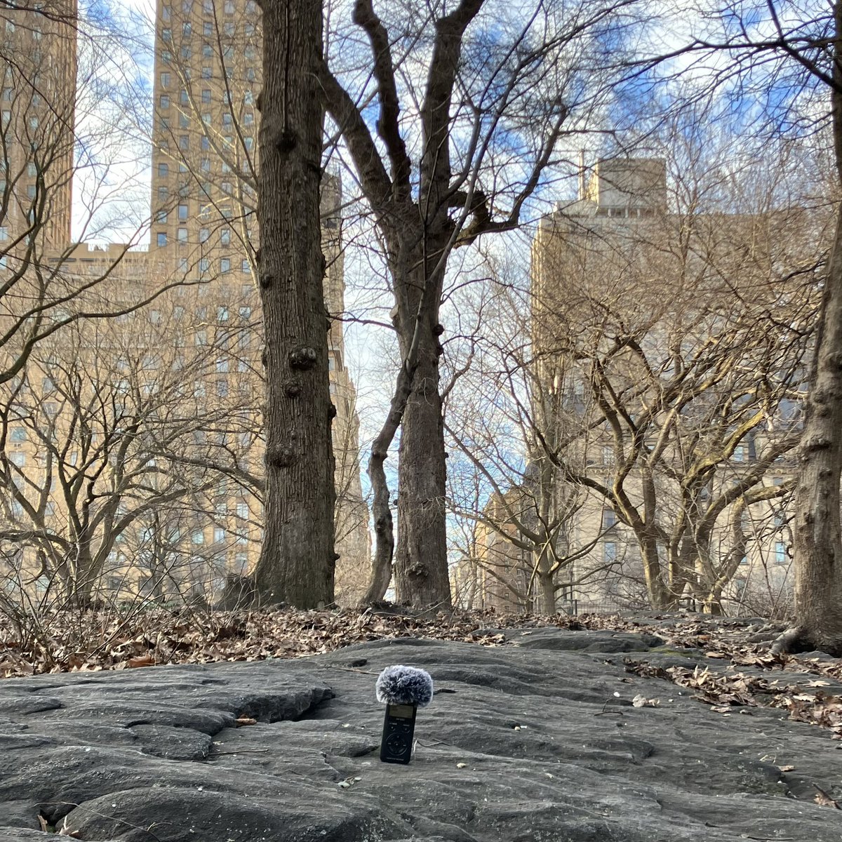 Central Park: A Picture-In-Sounds Performance two. Performed 9 February 2024 near Strawberry Fields, Central Park, NYC. Mastered by Alex at @quietdetails_ Map provided by @TinSoldiere Full notes and download available at: mortalitytables.bandcamp.com