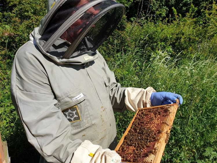 Beehives stolen from Lincolnshire honey farm .. Read more &gt;&gt; farmwatcher.co.uk/alerts/beehive… #RuralCrime #BeeTheft <a href="/LincsPolice/">Lincolnshire Police</a>  <a href="/OPCCLincs/">OPCC Lincolnshire</a>