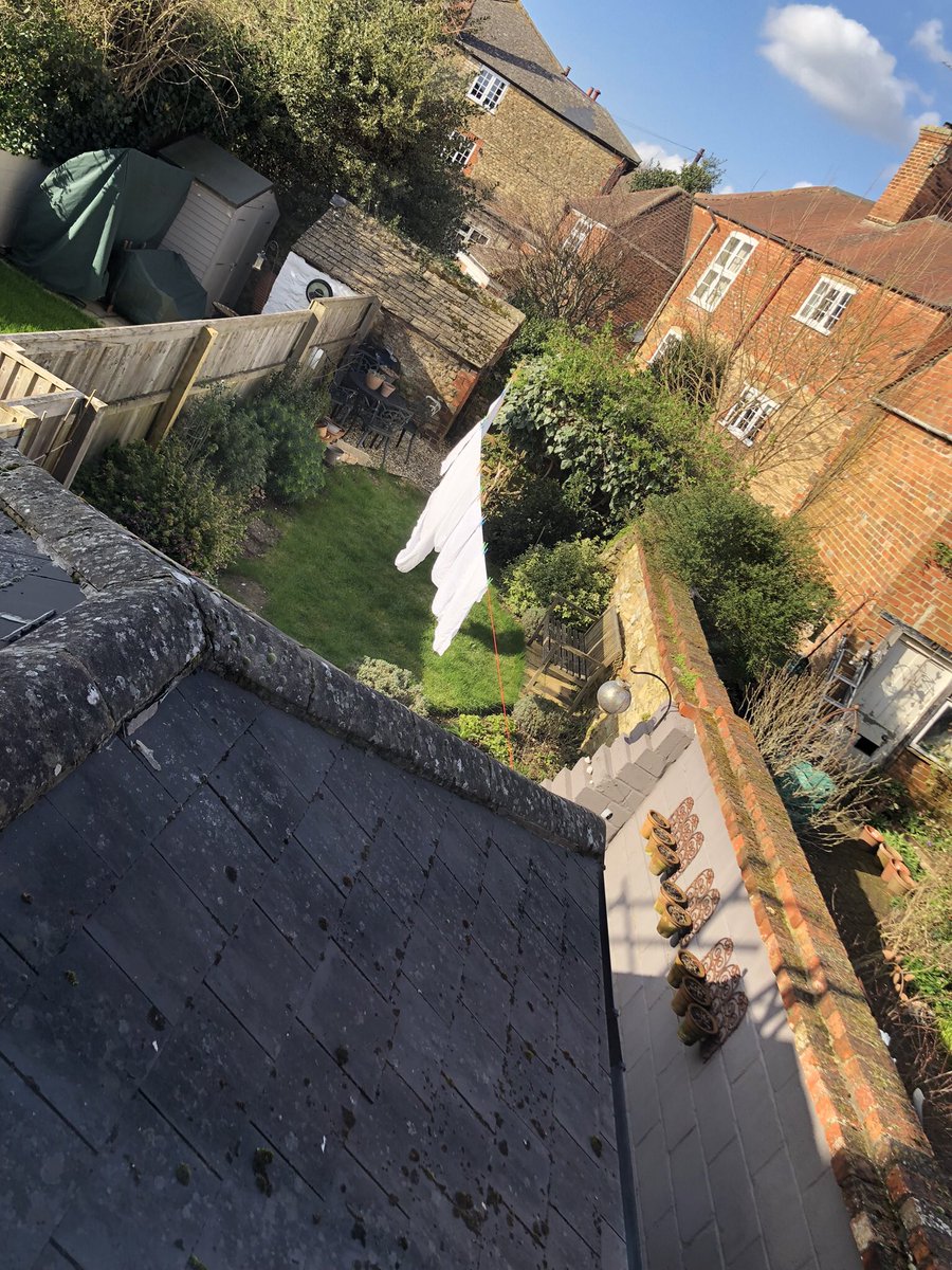 Tracey Lee tweet media