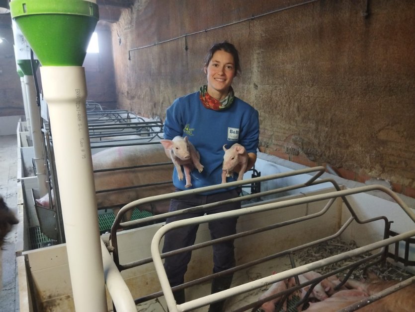 CatInfo Lleida tweet media