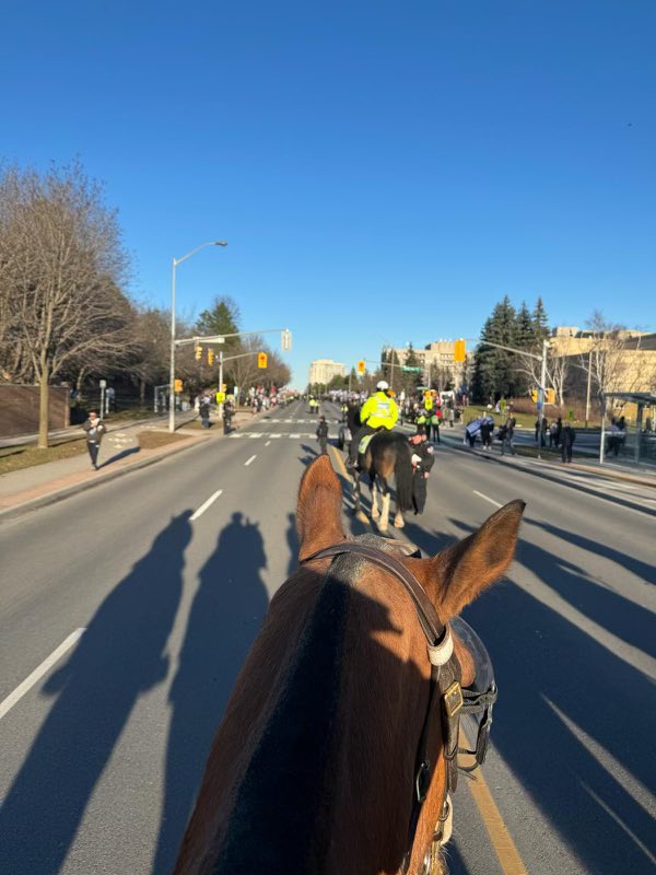 TPSMounted's tweet photo. The past couple of weeks have been extremely busy for our horses. They have all handled it well with some curiosity, lots of stamina, and a bold confidence- great job teams! #policehorse #horseandrider #teamwork #alwayssmiling #inthesaddle https://t.co/a04HdeRCR0