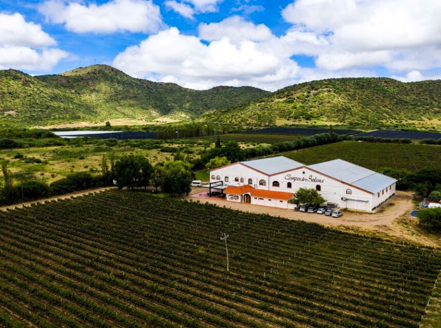 Grupo Meddis, vinos del nuevo mundo tweet media