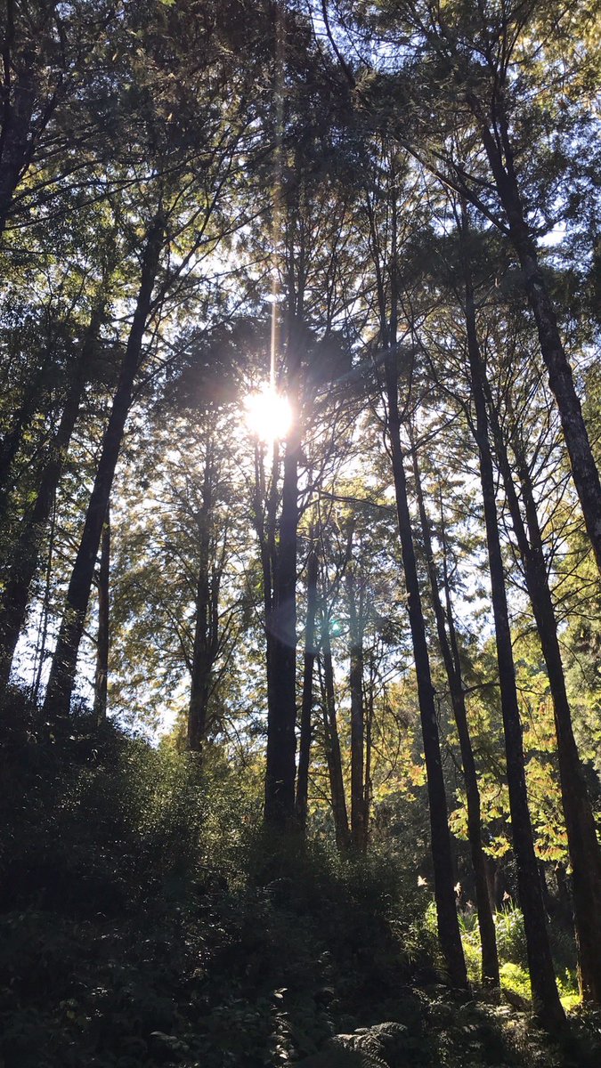 走不進的世界
我好像也沒必要硬擠

沒有誰沒了誰就不行
嘴上說重不重要都只能聽聽

🍀
最近社交能量匱乏