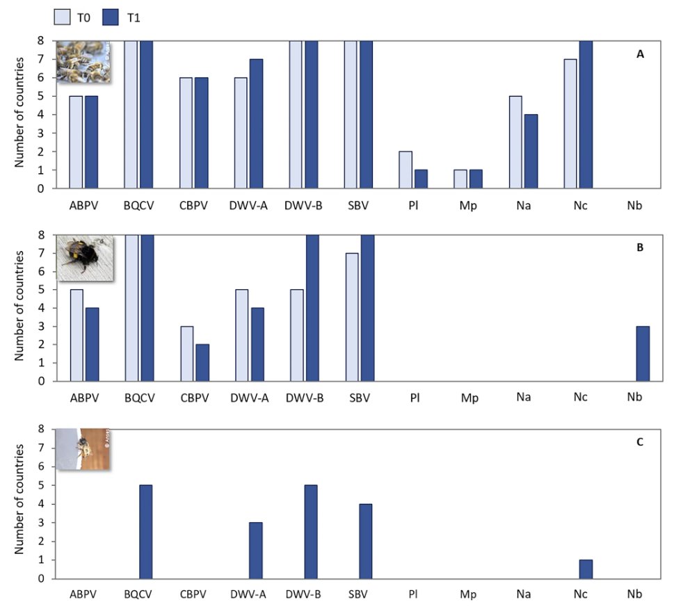 New PoshBee results 📢 An article investigating the distribution of infectious and parasitic agents among three sentinel #bee species in #European #AgriculturalLandscapes has been published in Scientific Reports. 🐝 Read more about it here: 🔗nature.com/articles/s4159…