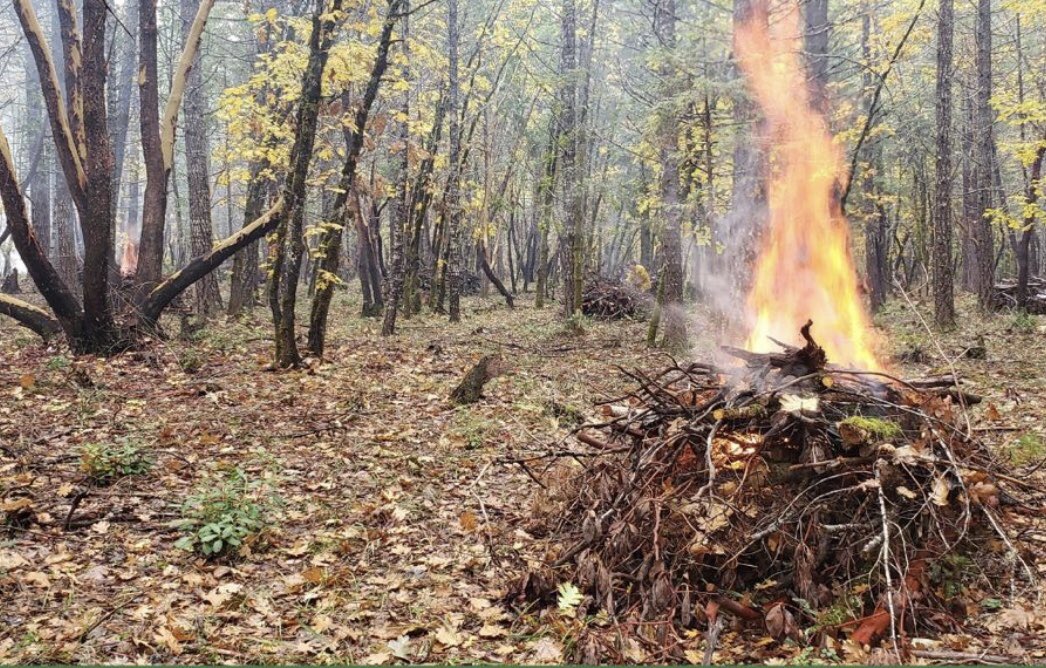 GreenHeartSE's tweet photo. Open burning of agricultural and forestry waste cause air pollution. Join @GreenHeartSE as we transform them into #biochar, a carbon stable product which cleans the air and increases agricultural productivity.
 #CleanAirGhana #CleanAir4All https://t.co/HL8fQU7u6a