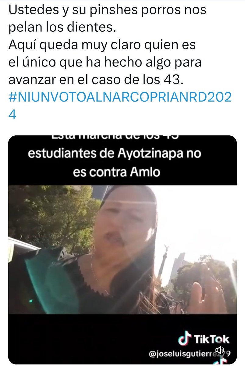 Los merolicos y simpatizantes del obradofascismo. Los ideológos y dirigentes de movimientos fascistas están bien protegidos por simpatizantes más fachos que ellos.