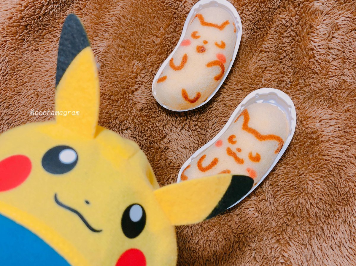 ポッチャマのぶちゃ (@pochamagram) / Posts / X
