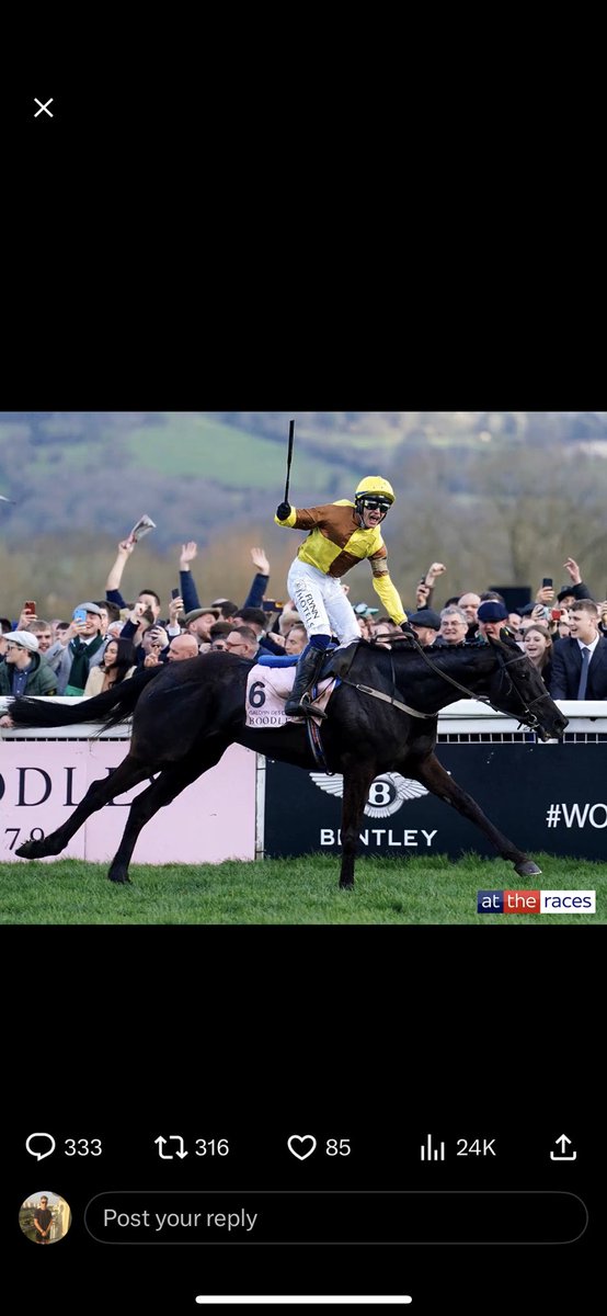james_cullen_'s tweet photo. @AtTheRaces @PTownend https://t.co/oHTUPHWHPC