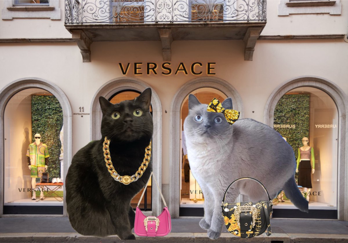 lilKatniss7's tweet photo. Blar n kitnass at versachi 🥰 #bestys #gorlssubbortgorls #wealthycats https://t.co/MwpSNPxAZ1