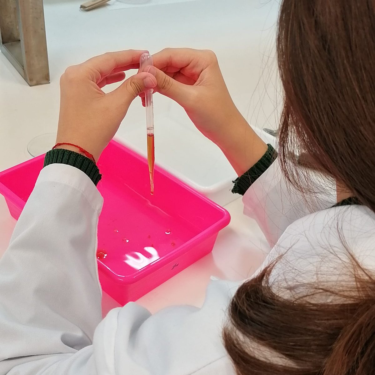 PortUIB's tweet image. 🫧🧑🍳"Feim cuina... Fent ciència!" és la pràctica del #DemoLab del Grau de Química de la @FCienciesUIB. Avui l'alumnat de 4t d'ESO del CC Sant V. Paül Palma ha pogut conèixer com és la tècinca de les esferificacions.