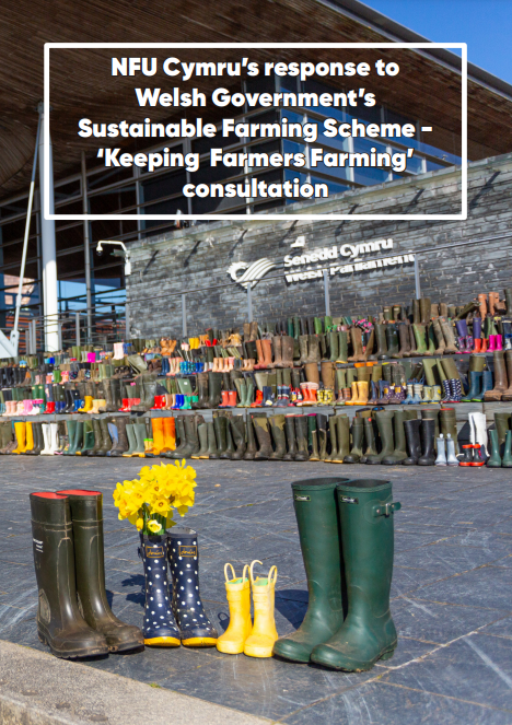 Our Sustainable Farming Scheme consultation response, on behalf of all of our members, has been submitted.

Thank you to everyone who also submitted their own response.

Read our full response here ➡️ow.ly/SHQK50QOFSR