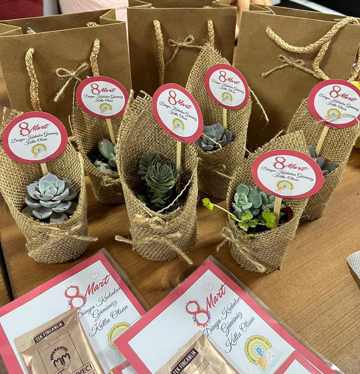 Tüm kadınlarımızın 8 Mart Dünya Kadınlar Günü kutlu olsun!