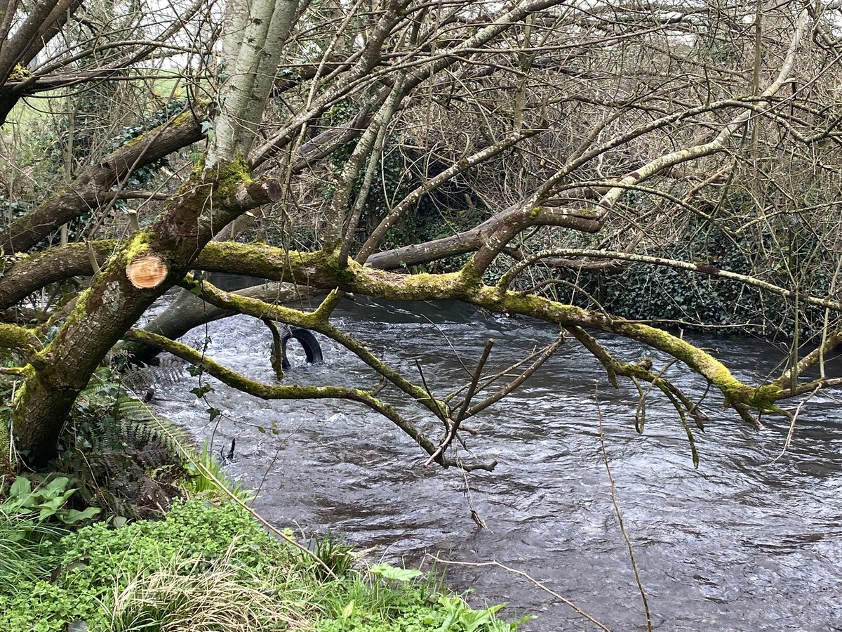 DanJCB001's tweet photo. Day 68 of our #100daysofwalking . Brisk morning walk on a bright, cold, windy but dry day 🏃‍♂️⛅️🥶🍀 #MurphysFarm #Bishopstown #Cork @NTBreakfast  #NewstalkFM @NewstalkFM #Spring #MTU https://t.co/VNq49jNmCT