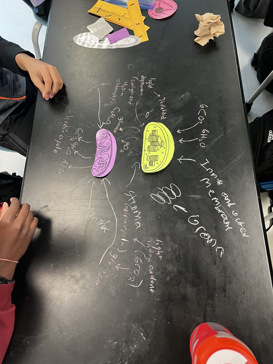 CianaPaye's tweet photo. More science happenings! #Biology #scienceeducation @GreenLevelHigh https://t.co/CXIWqIdmAm