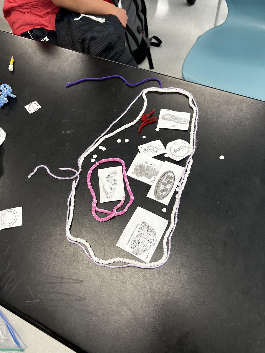 CianaPaye's tweet photo. More science happenings! #Biology #scienceeducation @GreenLevelHigh https://t.co/CXIWqIdmAm