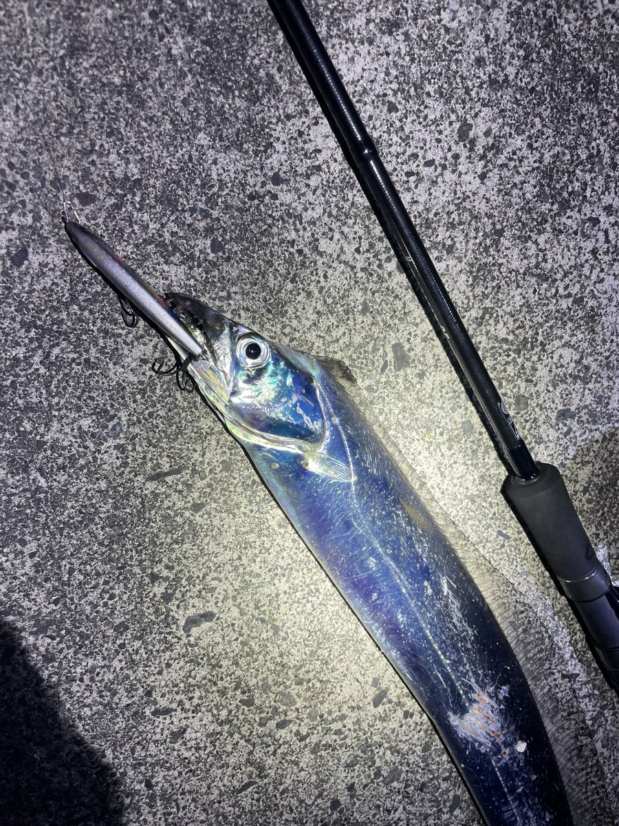 ren28_fish's tweet photo. 久々のF4👌

横ではF5オーバーっぽいの来てたから場所によりけりだなぁ https://t.co/nkEhWPc1PX