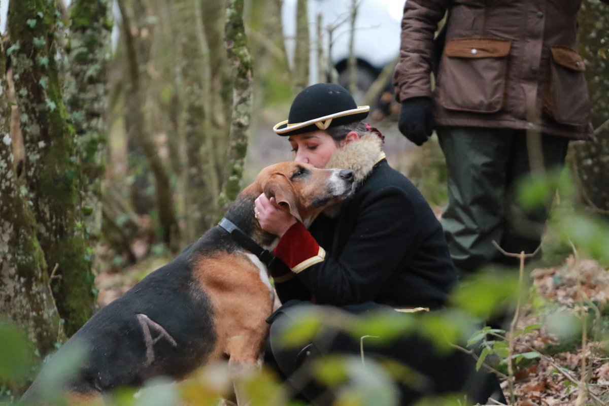 charlottemlp's tweet photo. #JourneeInternationaleDesDroitsDesFemmes 

La #ChasseACourre est le mode de #chasse qui compte le plus de #femmes (28%). Elles y jouent un vrai rôle et y apportent un « je ne sais quoi » de plus qui fait toute la différence 😍

@chasseacourre https://t.co/CTUmCVhkGI