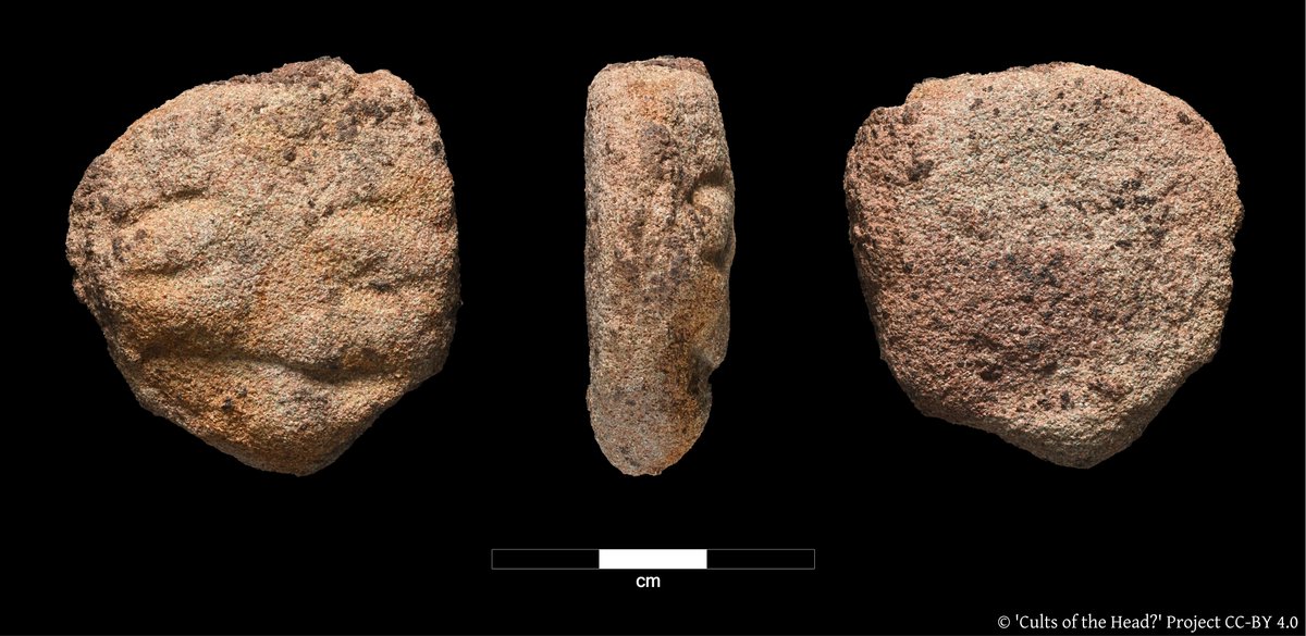 Some of our heads are so tiny, it's amazing that they were spotted at all! #FindsFriday