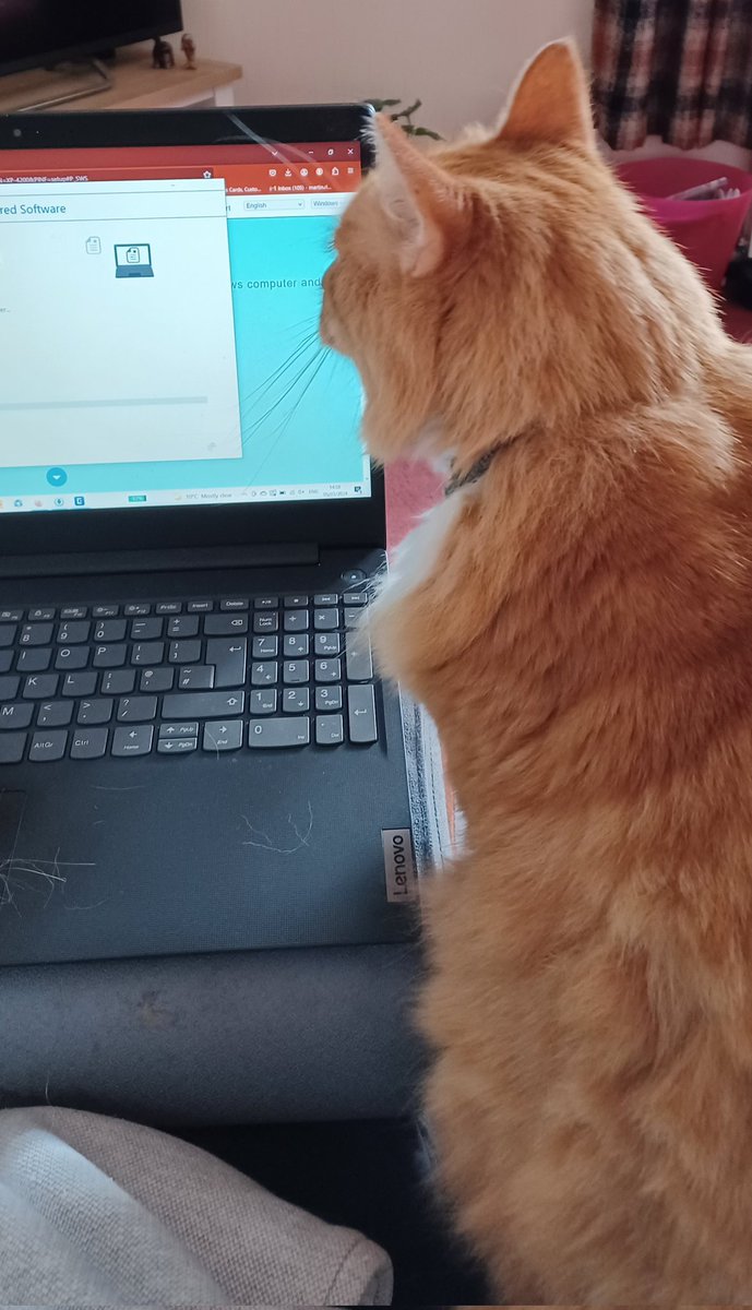 Except for a hairy keyboard, it's great to have a proofreader like Whiskey to keep an eye on things. <a href="/ellygriffiths/">Elly Griffiths</a> <a href="/SusanCalman/">Susan Calman</a>