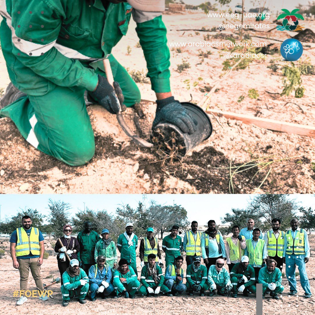 eegemirates's tweet photo. #EEG comes together in association with the #AbuDhabi #Municipality to collaborate with #RotaryClub, #TheGalleria, #TuneProtect, and #DenHartogh to plant 500 trees of #Acacia and #Ghaf this 8th March morning, as part of the #FOEWP #afforestation initiative. https://t.co/5NyHp4X8qY