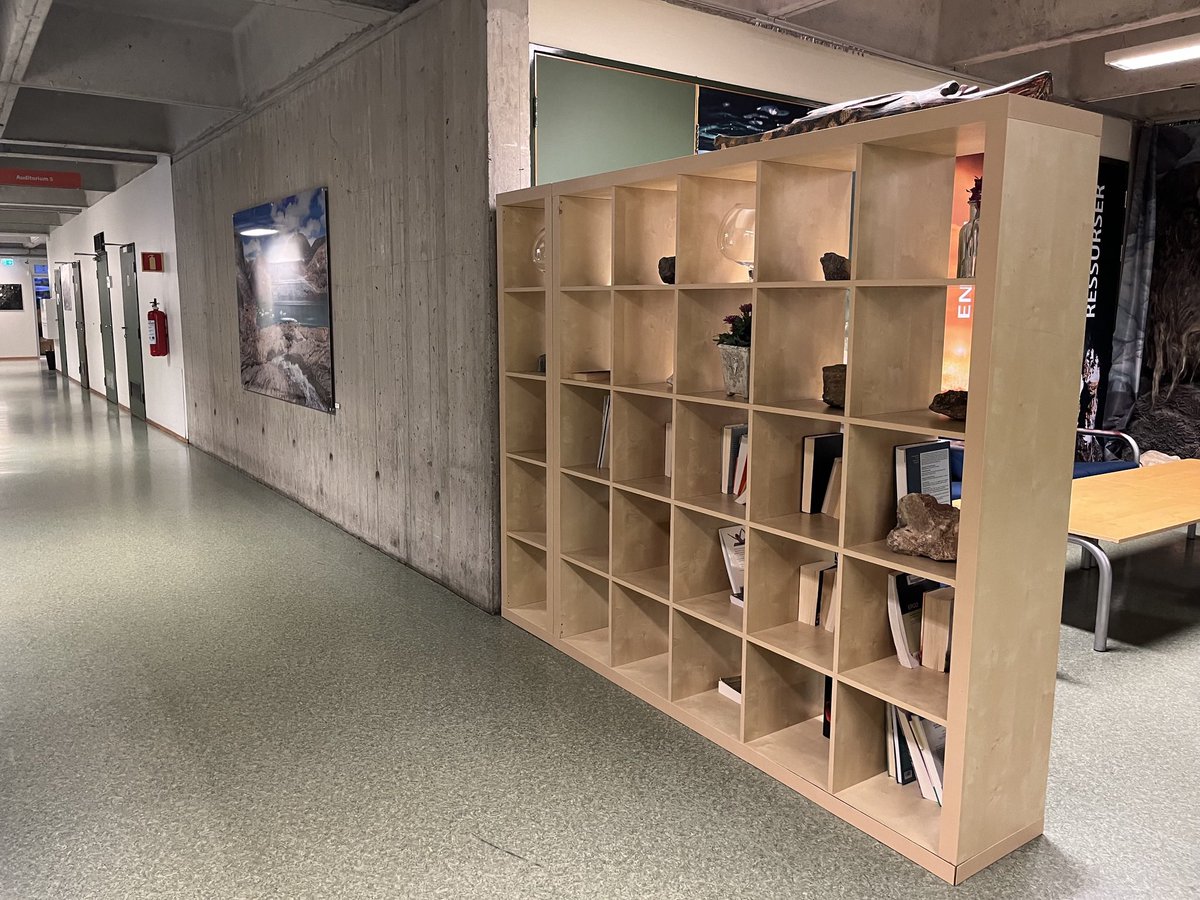 Martina O’Brien tweet media