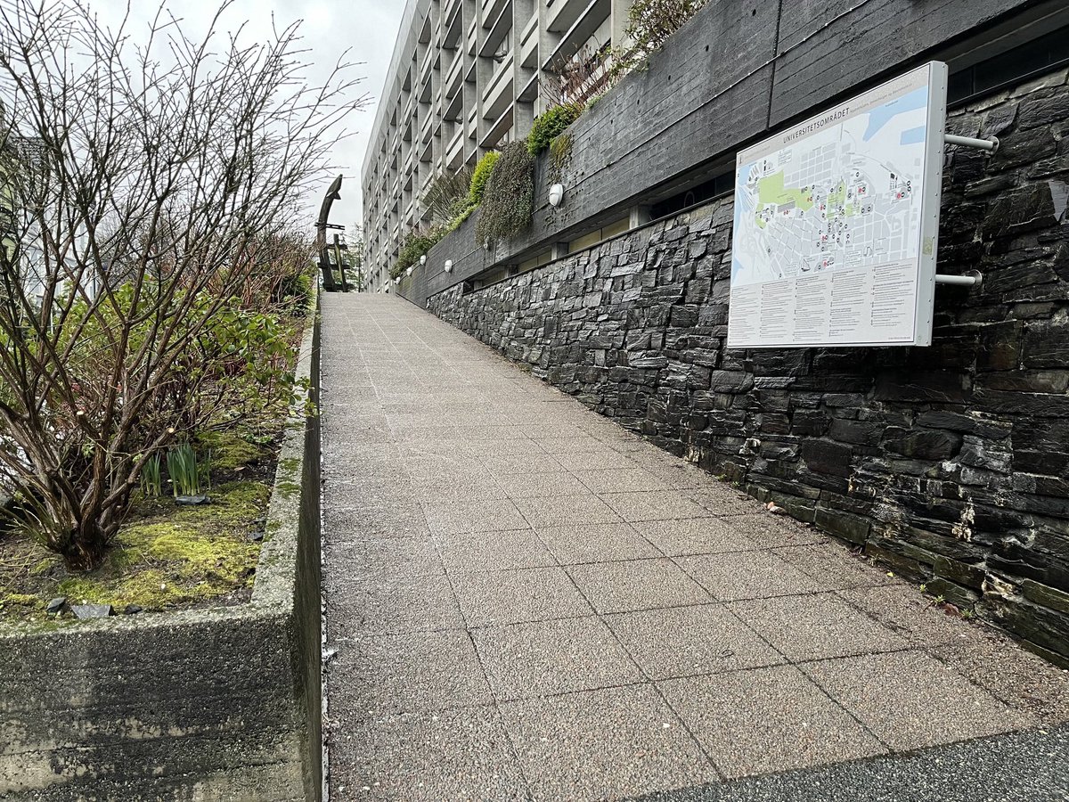 Martina O’Brien tweet media