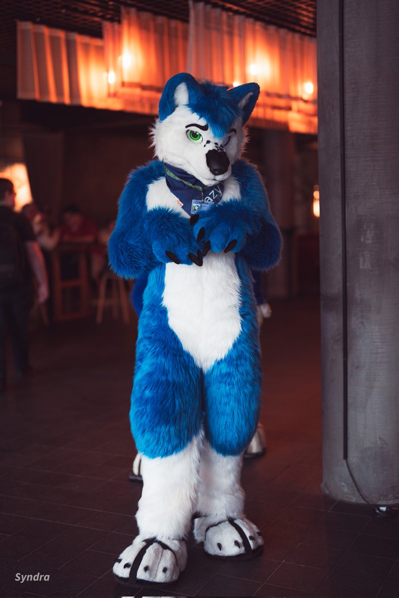 Shy boi is making his way to steal your chicken nuggies 🐔 Happy #FursuitFriday 💚💚 📷 @SyndraFox