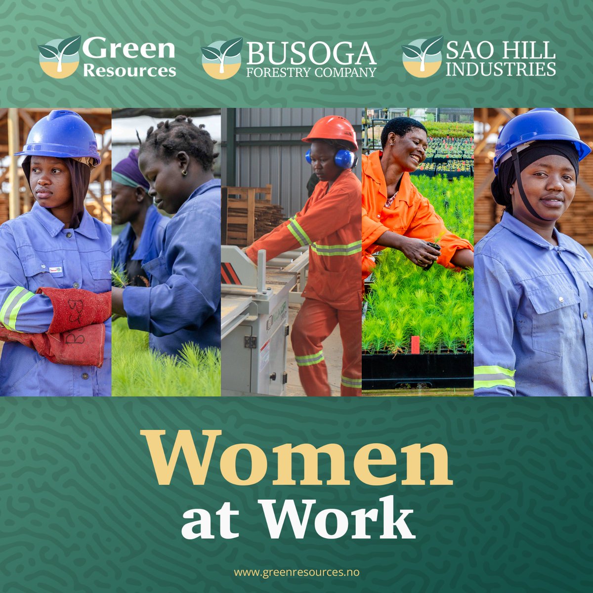 Celebrating the women in Forestry on International Women's Day From nurturing our forests to moving product and driving innovation, the contributions of the ladies in our business are invaluable. 💪🌳 #WomenInForestry #InternationalWomensDay  #IWD2024