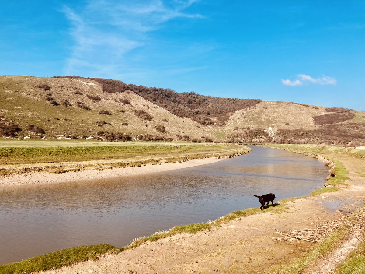 fearsandkahn's tweet photo. Cuckmere Stroll
#cuckmere #southdowns #sussex #photography #sdnp #cuckmereriver https://t.co/MKafuqDXDy