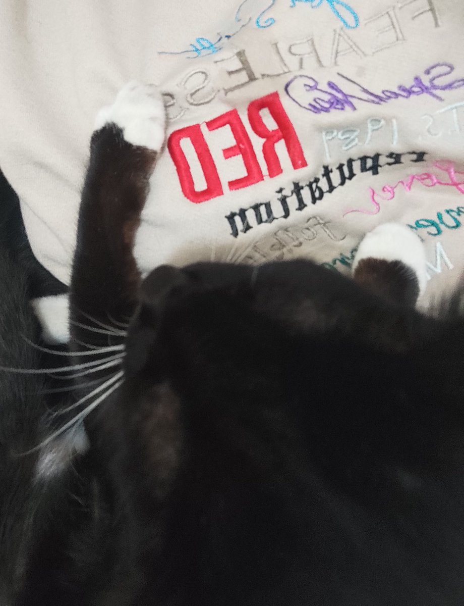 Got sick yesterday and they won't leave me alone
