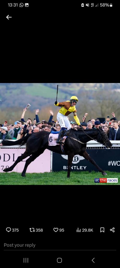 BullockNath's tweet photo. @AtTheRaces @PTownend https://t.co/3cHUaeAmbH