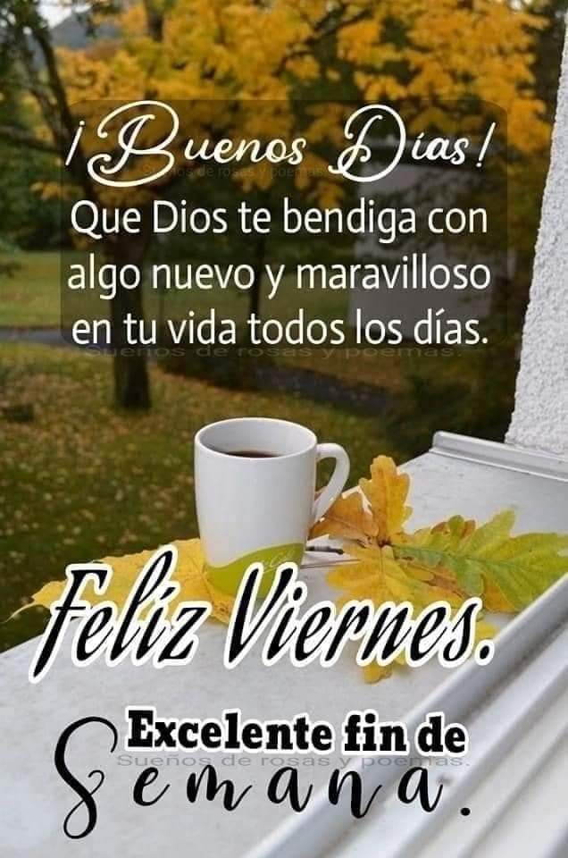 Fabio_el_lobo's tweet photo. ¡Hola mis amigos! Buenos días que tengamos un día bendecido,  y #atodas mis #amigas que Dios padre me las bendiga a cada una por nombre, especialmente a mi esposa @Maga_loba #DiaDeLasMujeres se los deseo de ❤️ su amigo @Fabio_el_lobo 🌎🤝🇬🇹🐺🌷🌷🌷🌷🌷💯🙏 https://t.co/BMxQjZY2uS