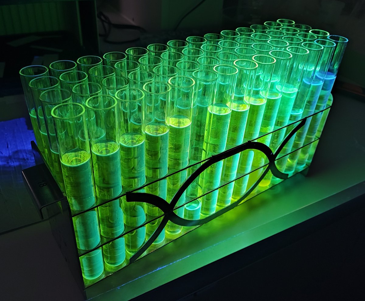 FilipPetko2's tweet photo. When you planned to obtain a good light absorber but accidentally ended up with a very efficient fluorophore! 🤓#FluorescentFriday #OrtylPhotoLab @JoannaOrtyl @AndrzejSwiezy @Jamroz_P https://t.co/Kp854xGMm3