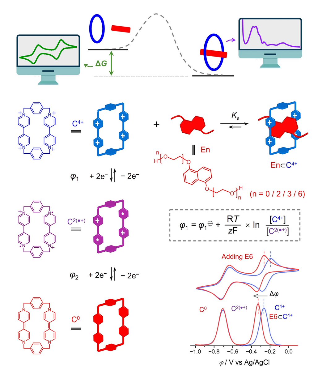 We introduce the practice of analytical electrochemistry for probing noncovalent interactions. Check our latest research in @NatChemEng. @sirfrasersays @NUChemistry @NorthwesternU @Tsinghua_Uni nature.com/articles/s4428…