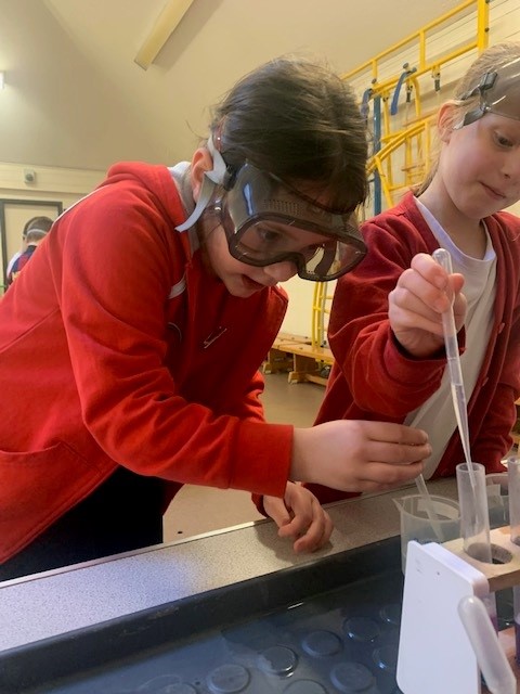 Ghosthill2023's tweet image. All of our children have enjoyed a FAB SCIENCE workshop today. So much awe and wonder and excited whoops and shouts when they saw and heard popping and fizzing and learnt why these reactions were taking place. 
Enjoyment of learning at its best.
@fabscience 
@SapientiaTrust