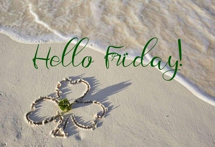 Ruthy Bell 💙🇵🇦 tweet media