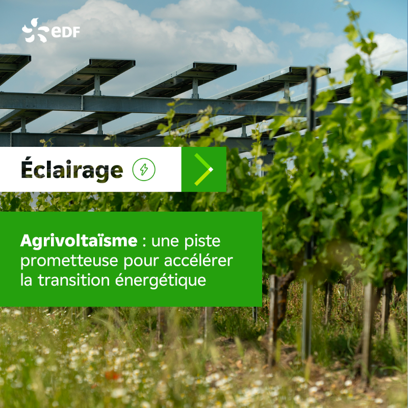 EDF_Entreprises's tweet photo. Aujourd’hui dans Éclairage ⚡️ : 

- EDF x Morrison : partenaires pour développer la recharge ultra-rapide🚗
- France x Danemark : stockage de carbone 
- Transition énergétique : l’agrivoltaïsme, une piste prometteuse
- Photovoltaïque : EDF ENR s’étend en Tunisie 

+d'actus 👇🏻