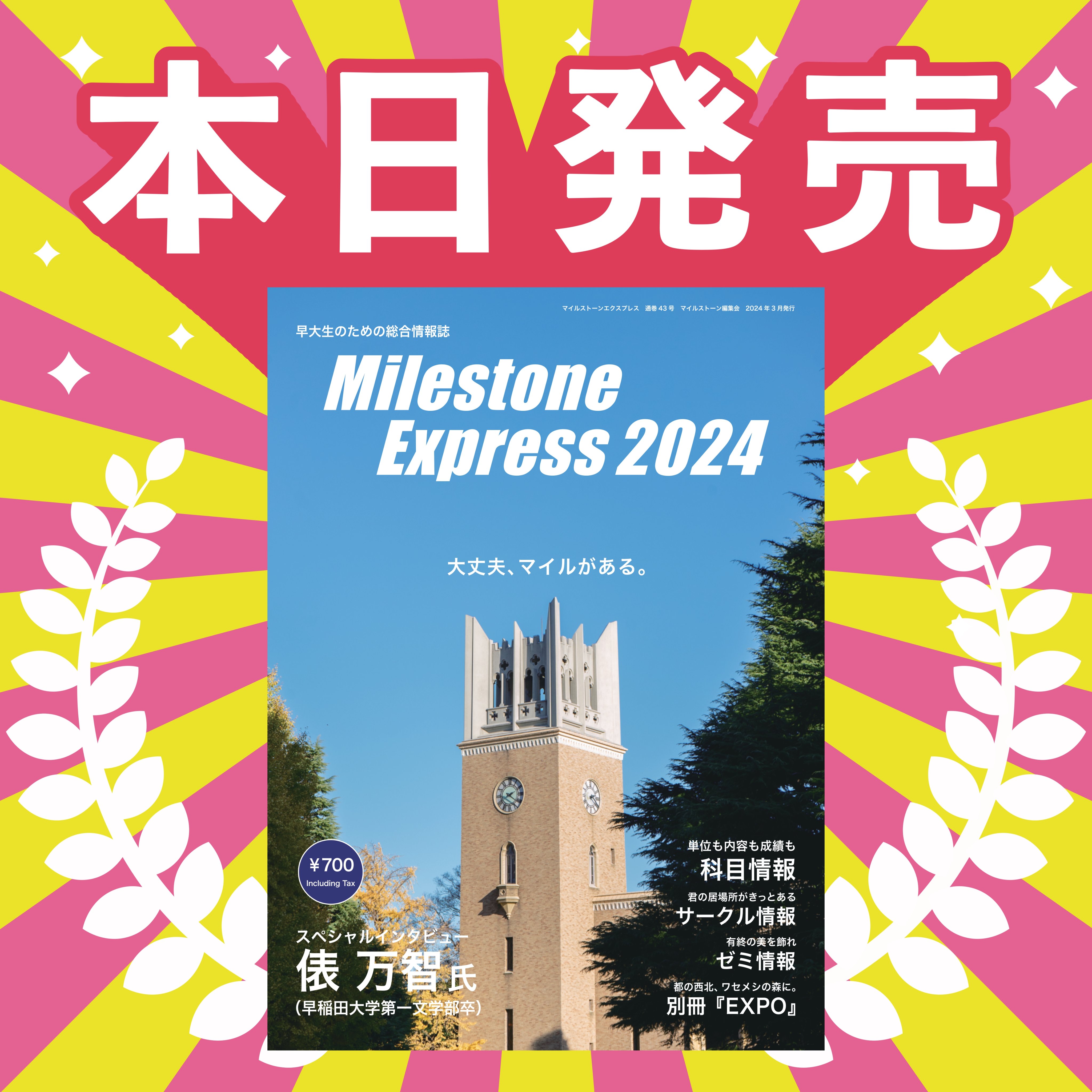 Amazon.co.jp: Milestone Express 2025【マイルストーン