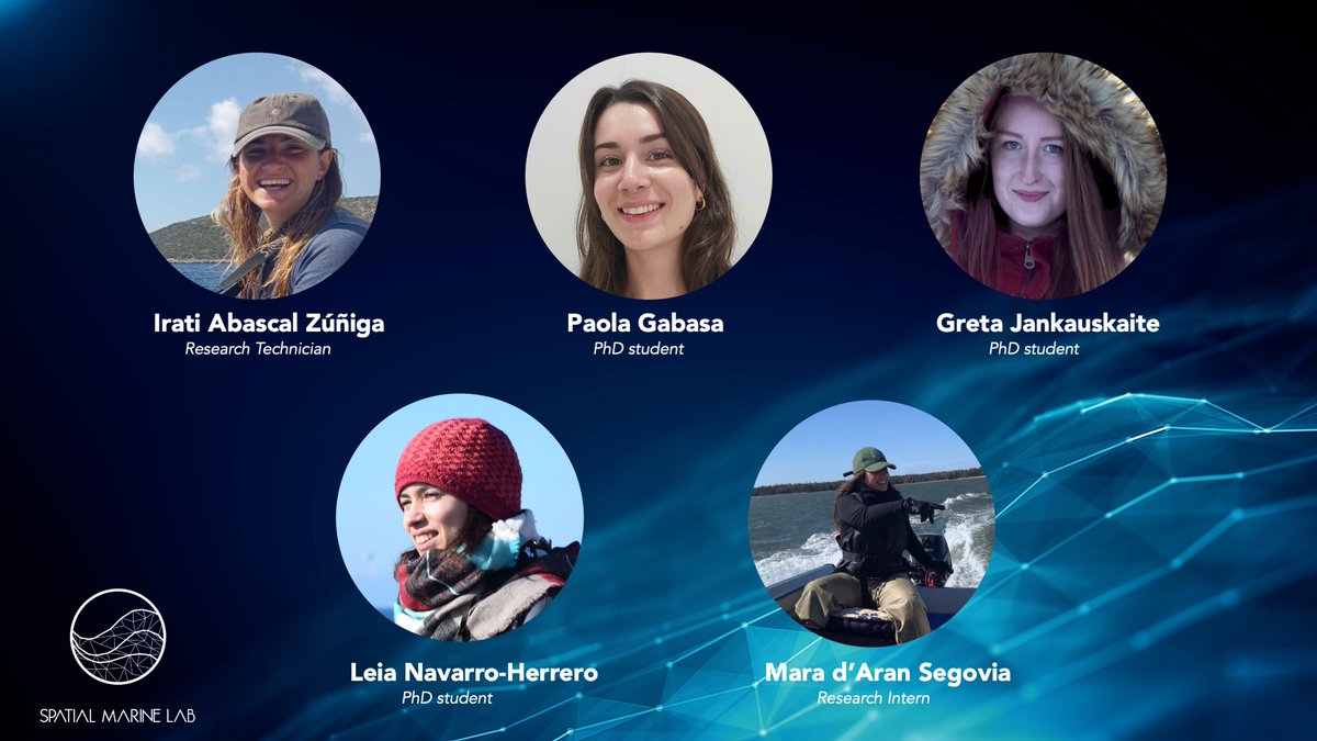 Happy #InternationalWomensDay from the incredible women of the Spatial Marine Lab at the <a href="/ICBiBE_UV/">ICBiBE_UV</a> working to protect our ocean! Today, and everyday, we celebrate the achievements and strength of #womeninSTEM  👩‍🔬👩‍💻

#8M #STEM #WomensDay #WomenInScience #MujeresSTEM #DiadelaMujer