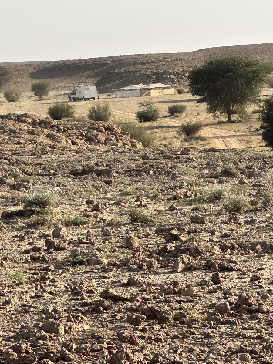 وردني من احد المتابعين مايلي
رغم التعليمات واللوحات التي تمنع الرعي وشبوك المواشي الا ان اودية شقراء ممتهنه بسبب غياب الرقيب المحاسب نناشد سعادة محافظ شقراءو <a href="/ncvcksa/">المركز الوطني لتنمية الغطاء النباتي ومكافحة التصحر</a> 
<a href="/SaudiDCD/">الدفاع المدني السعودي</a>و
<a href="/MEWA_KSA/">وزارة البيئة والمياه والزراعة</a> 
بتطبق النظام بحقه
الموقع شعيب العشره👇
maps.app.goo.gl/NnpuVBY2GzWGda…